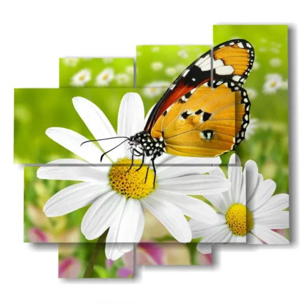 butterflies in the paintings