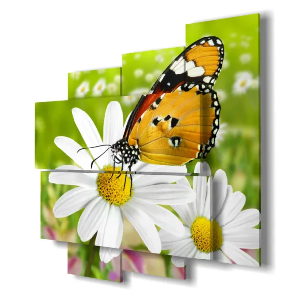 impressions de papillons