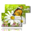 papillons dans des tableaux de marguerites - version: 6 pannelli 122x96cm