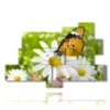 butterflies in the paintings of daisies - version: 9 pannelli 183x121cm