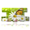 butterflies in the paintings of daisies - version: 8 pannelli 186x97cm