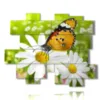 butterflies in the paintings of daisies - version: 15 pannelli 186x152cm