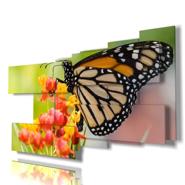 Impresiones con mariposas reales