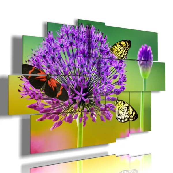 Cuadros mariposa