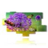 quadro farfalla amante del viola - version: 11 pannelli 204x116cm