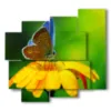 tableaux fleurs papillons au soleil - version: 5 pannelli 106x98cm