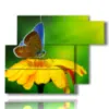 paintings flowers butterflies in the sun - version: 6 pannelli 122x96cm