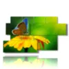 paintings flowers butterflies in the sun - version: 7 pannelli 157x90cm