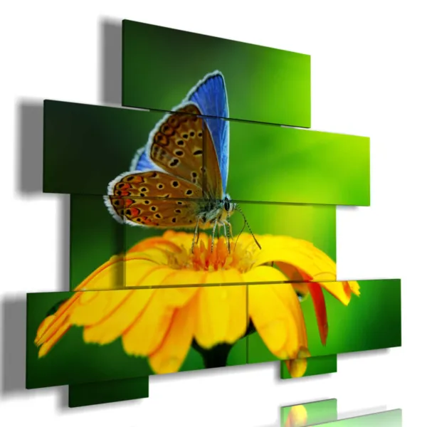 cuadros, flores, mariposas en el sol