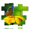 paintings flowers butterflies in the sun - version: 14 pannelli 176x153cm