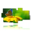 paintings flowers butterflies in the sun - version: 8 pannelli 184x100cm