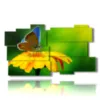 cuadros flores mariposas al sol - version: 11 pannelli 184x104cm