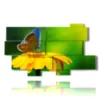 paintings flowers butterflies in the sun - version: 10 pannelli 190x110cm