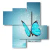 painting with photos of magical rare butterflies - version: 4 pannelli 94x98cm