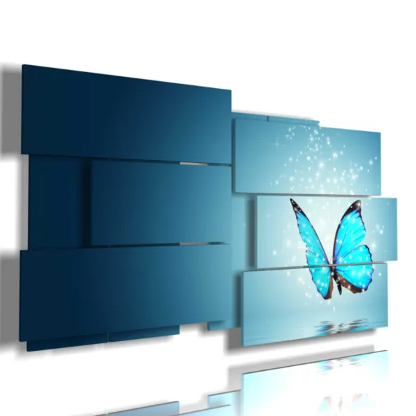 Cuadro con foto de mariposas raras y mágicas