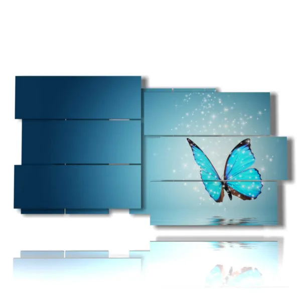 photo de papillons rares