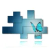 painting with photos of magical rare butterflies - version: 8 pannelli 186x121cm