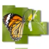 painting of butterflies on the flower - version: 5 pannelli 104x90cm