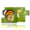 painting of butterflies on the flower - version: 7 pannelli 157x90cm