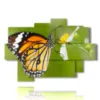 Cuadro de mariposas