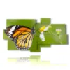 painting of butterflies on the flower - version: 8 pannelli 184x100cm