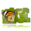 painting of butterflies on the flower - version: 11 pannelli 184x104cm