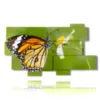 painting of butterflies on the flower - version: 10 pannelli 190x110cm