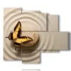painting the butterflies on zen stone - version: 5 pannelli 104x90cm