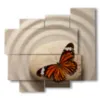 quadri per farfalle zen - version: 5 pannelli 106x98cm