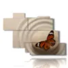 cuadros de mariposas zen - version: 7 pannelli 150x102cm