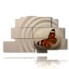 tableaux pour papillons zen - version: 9 pannelli 173x103cm