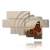 quadri per farfalle zen - version: 7 pannelli 173x106cm