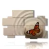 paintings for zen butterflies - version: 10 pannelli 176x115cm