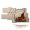 cuadros para mariposas