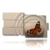 paintings for zen butterflies - version: 10 pannelli 183x100cm