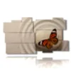 cuadros de mariposas zen - version: 11 pannelli 184x104cm