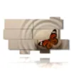 paintings for zen butterflies - version: 10 pannelli 190x110cm