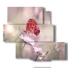 tableaux de vrais papillons rouges sur fleur - version: 5 pannelli 104x92cm