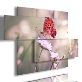 Paintings of real red butterflies on the flower