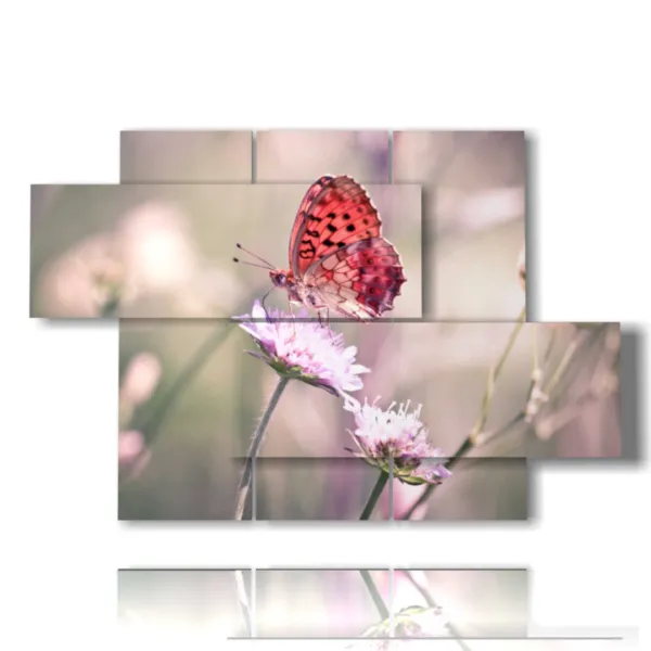 cuadros mariposas reales