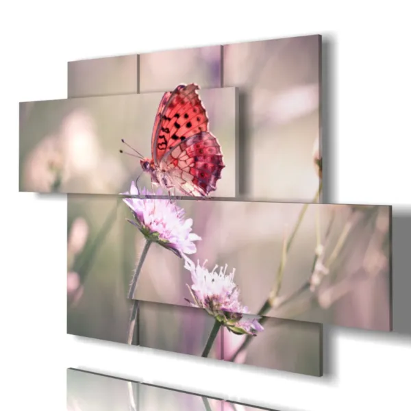 Real butterfly prints