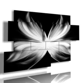 quadri cuore farfalle