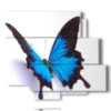 paintings blue relief butterflies on a white background - version: 6 pannelli 113x99cm