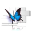 paintings blue relief butterflies on a white background - version: 7 pannelli 157x90cm