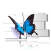 paintings blue relief butterflies on a white background - version: 11 pannelli 184x104cm