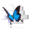 cuadros mariposas azules en relieve sobre fondo blanco - version: 11 pannelli 186x146cm