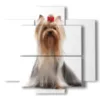 painting with yorkshire dog pictures - version: 5 pannelli 89x85cm