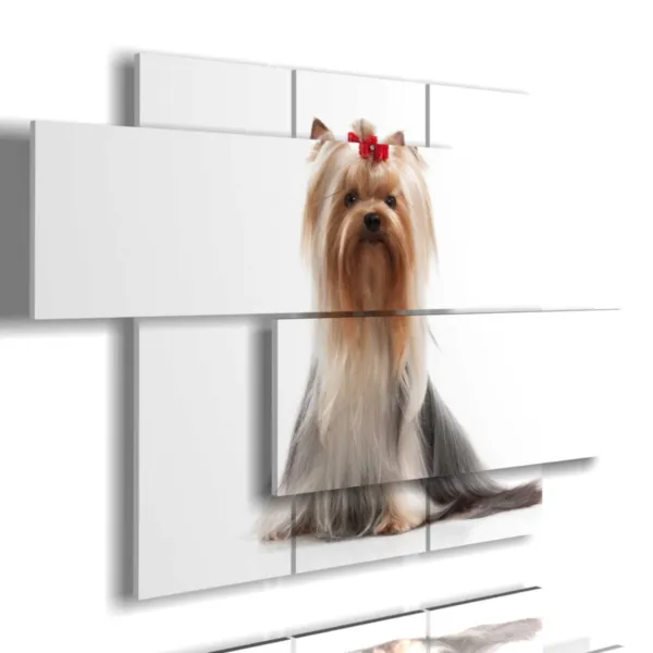 quadro con foto di cane yorkshire