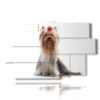 caja con foto de perro yorkshire - version: 9 pannelli 171x108cm