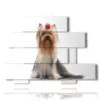 caja con foto de perro yorkshire - version: 10 pannelli 171x127cm
